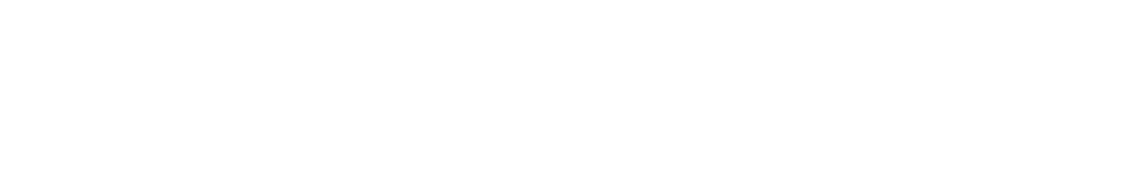 MagVenture